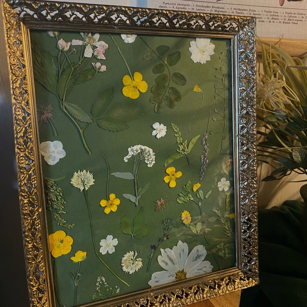 Pressed flower art, 8x10 gold frame